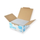 Boite 500 enveloppes DL auto-adhésives - 110x200 sans fenêtre