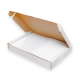 Boîte 250 Planches étiquette Colissimo 150x100 mm