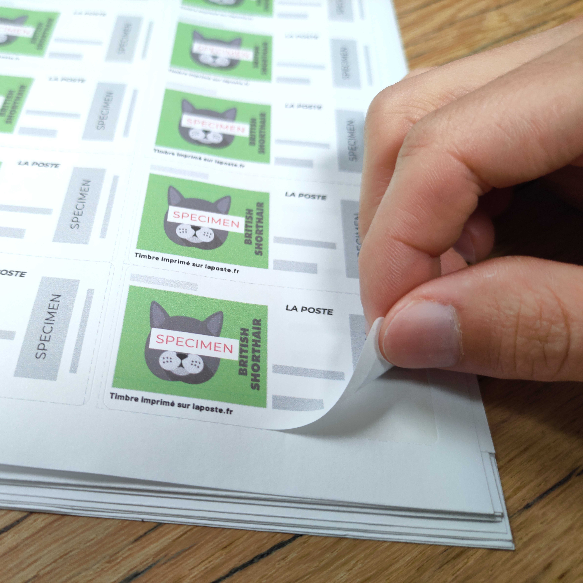 Lot de 20 planches étiquettes autocollantes pour timbres sur feuille a4 :  63,5 x 33,9 mm (24 étiquettes par feuille; spéciales timbre) - La Poste